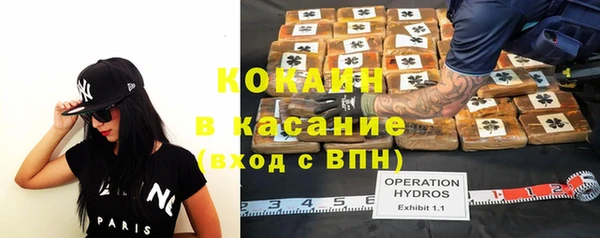 крисы Аркадак