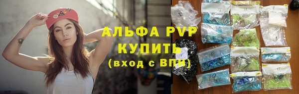 крисы Аркадак